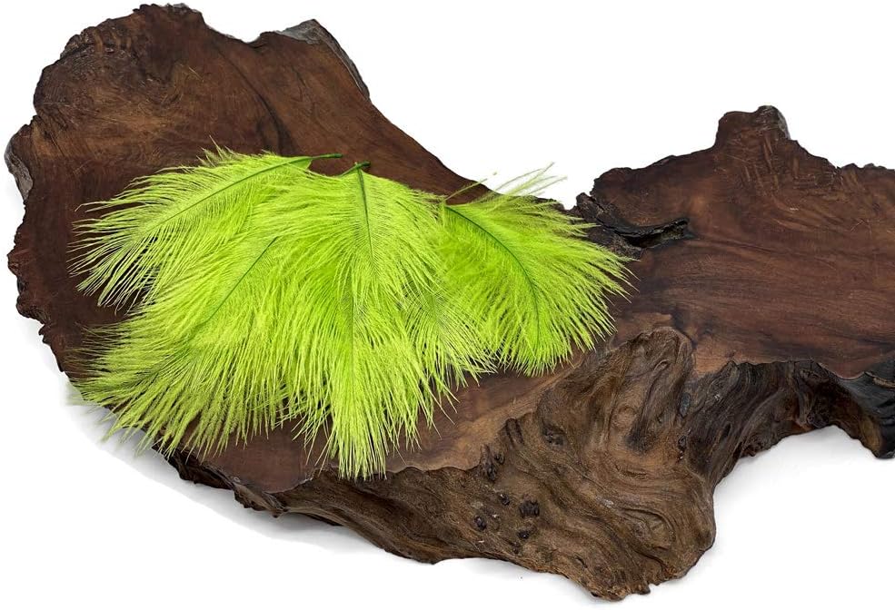 1 Pack - Lime Green Ostrich Small Confetti Feathers 0.3 Oz