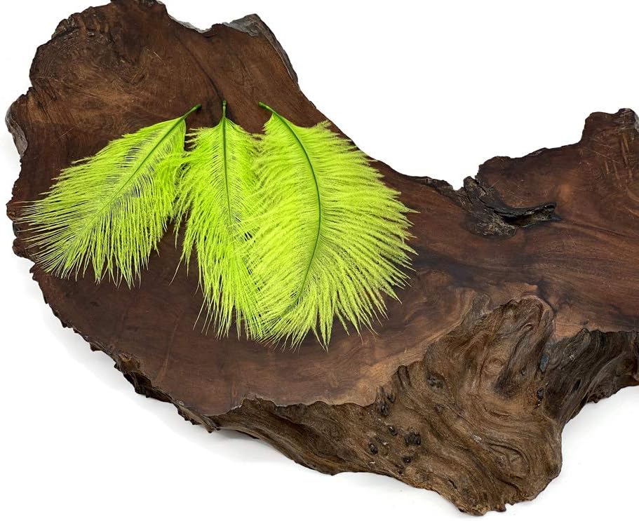 1 Pack - Lime Green Ostrich Small Confetti Feathers 0.3 Oz