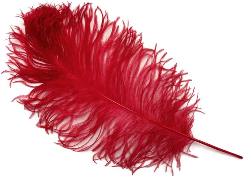 10 Pieces -  12-16" Red Dyed Ostrich Tail Fancy Feathers