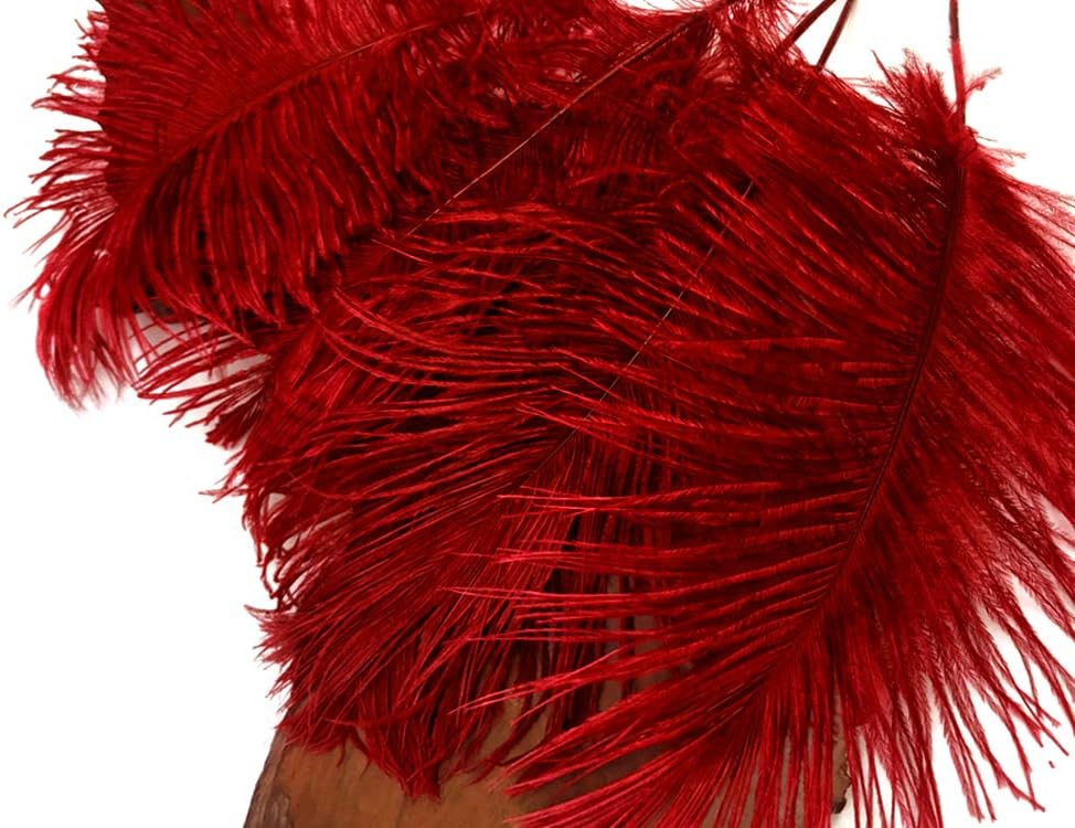 10 Pieces -  12-16" Red Dyed Ostrich Tail Fancy Feathers