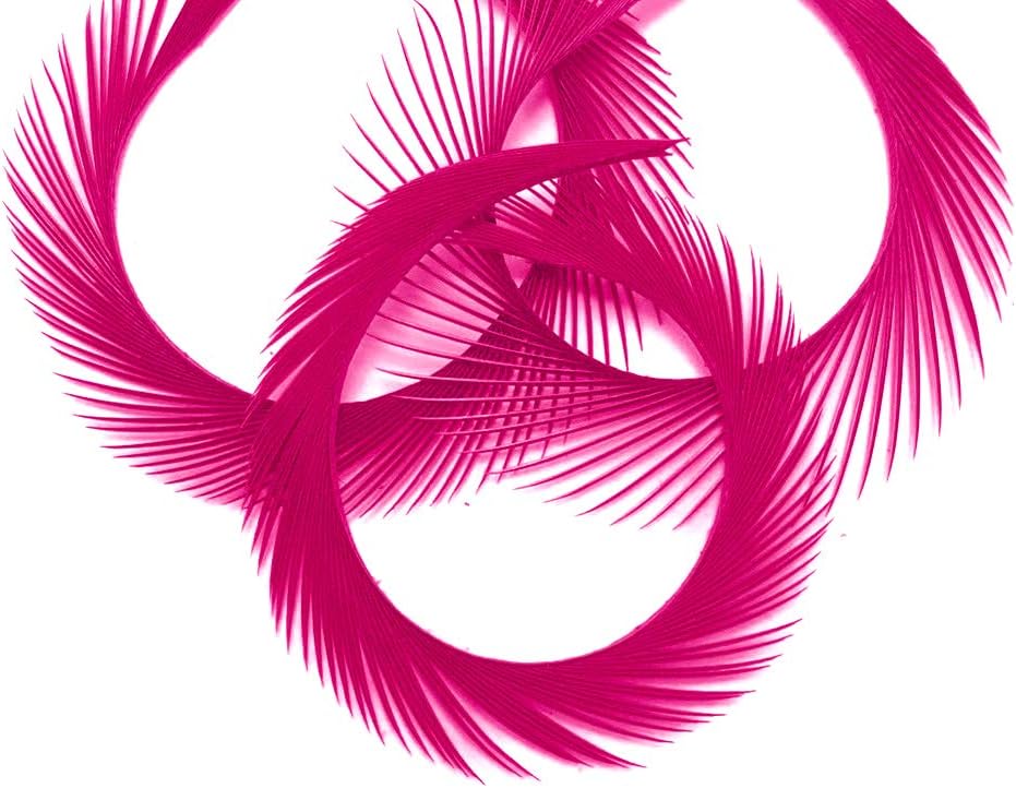 1 Yard - Hot Pink Goose Biots Stripped Wing Wholesale Feather Trim