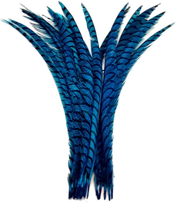 5 Pieces - 30-35" Turquoise Blue Zebra Lady Amherst Pheasant Tail Super Long Feathers