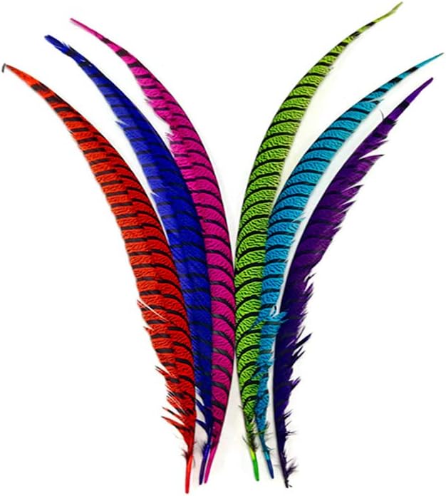 5 Pieces - 30-35" Turquoise Blue Zebra Lady Amherst Pheasant Tail Super Long Feathers