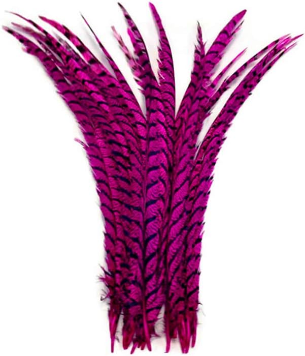 5 Pieces - 30-35" Hot Pink Zebra Lady Amherst Pheasant Tail Super Long Feathers