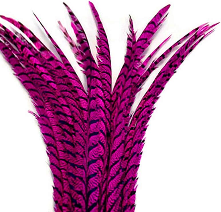 5 Pieces - 30-35" Hot Pink Zebra Lady Amherst Pheasant Tail Super Long Feathers