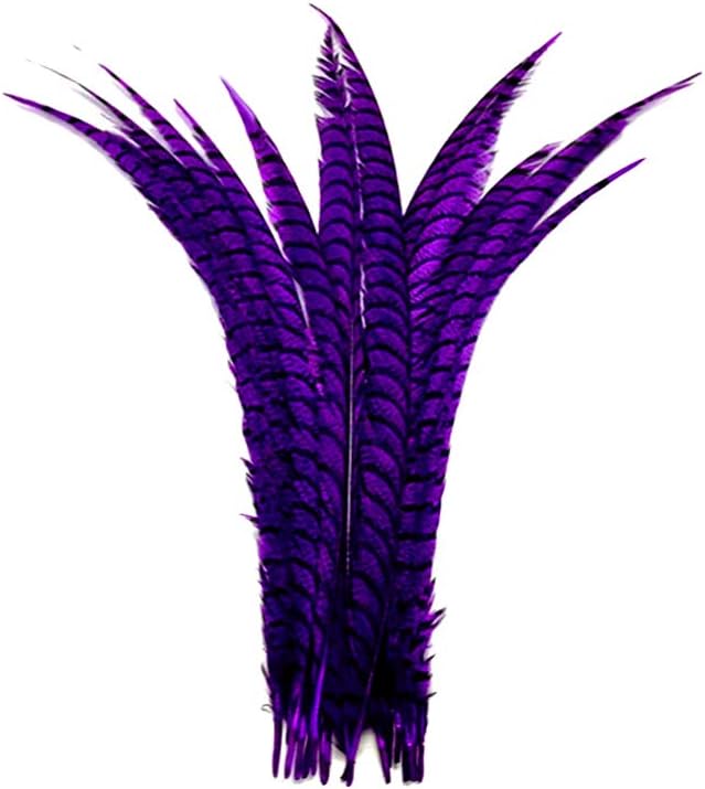 5 Pieces - 30-35" Purple Zebra Lady Amherst Pheasant Tail Super Long Feathers