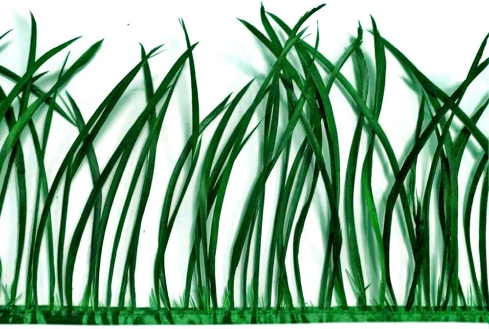 1 Yard - Kelly Green Goose Biots Stripped Wing Wholesale Feather Trim