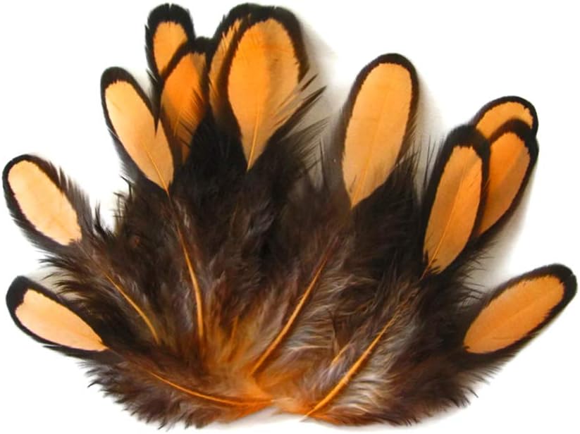 1 Dozen - Shrimp Whiting Farms Laced Hen Saddle Feathers