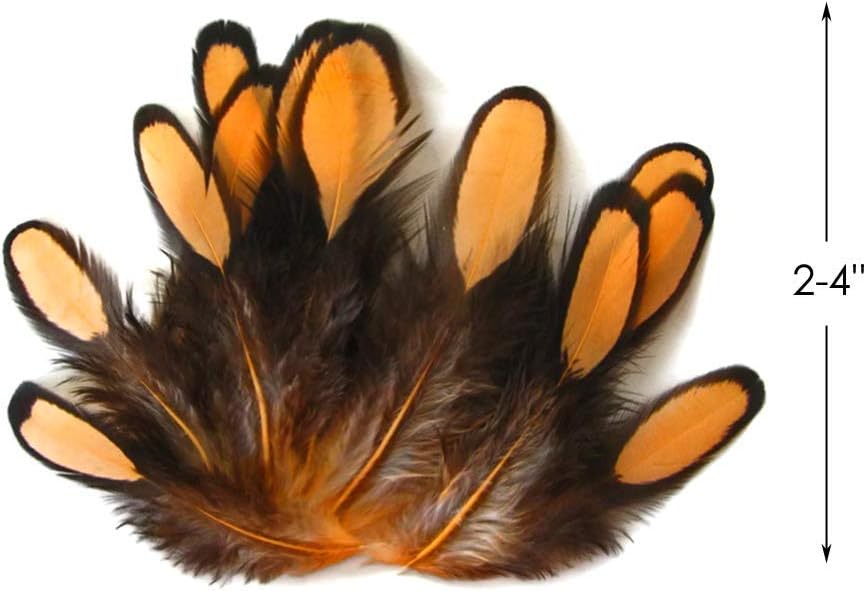 1 Dozen - Shrimp Whiting Farms Laced Hen Saddle Feathers