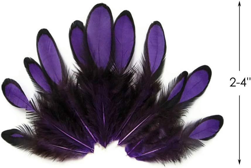 1 Dozen - Purple Whiting Farms Laced Hen Saddle Feathers