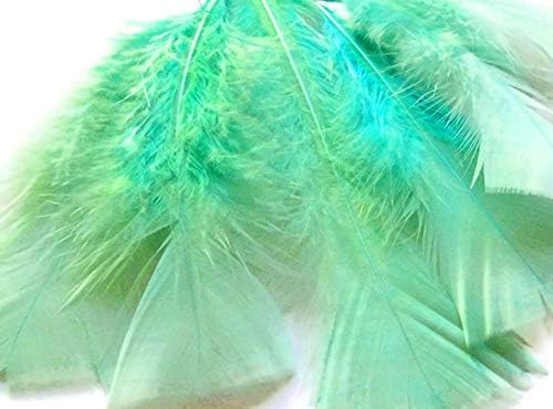 1 Pack - Aqua Green Dyed Turkey T-Base triangle Body Plumage Feathers 0.50 Oz.