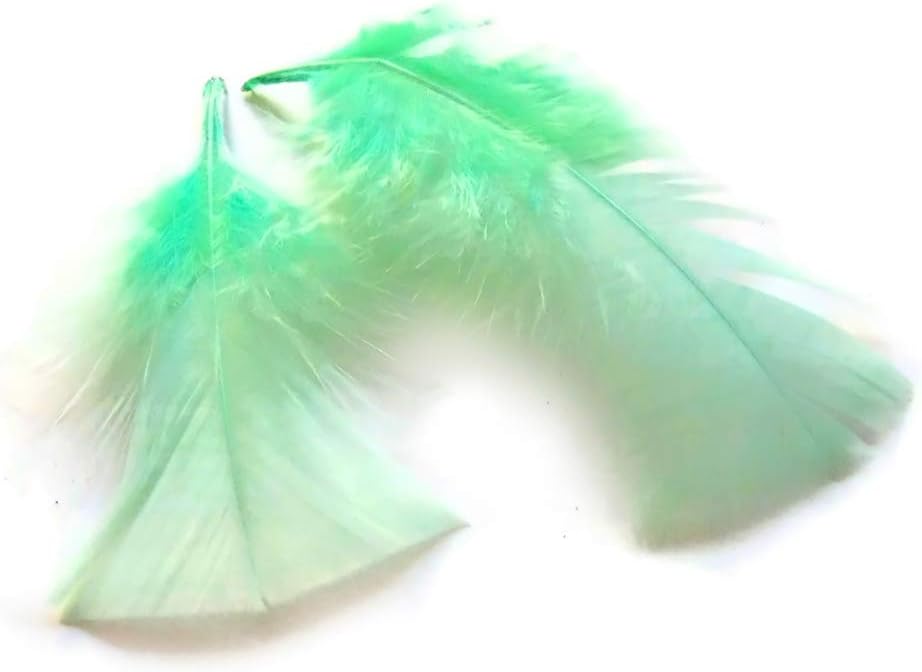 1 Pack - Aqua Green Dyed Turkey T-Base triangle Body Plumage Feathers 0.50 Oz.