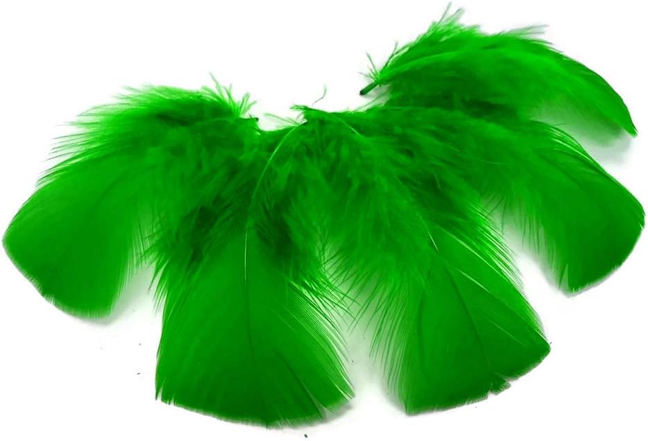 1/4 lbs. - Kelly  Green Turkey T-Base Plumage Wholesale Feathers (Bulk)