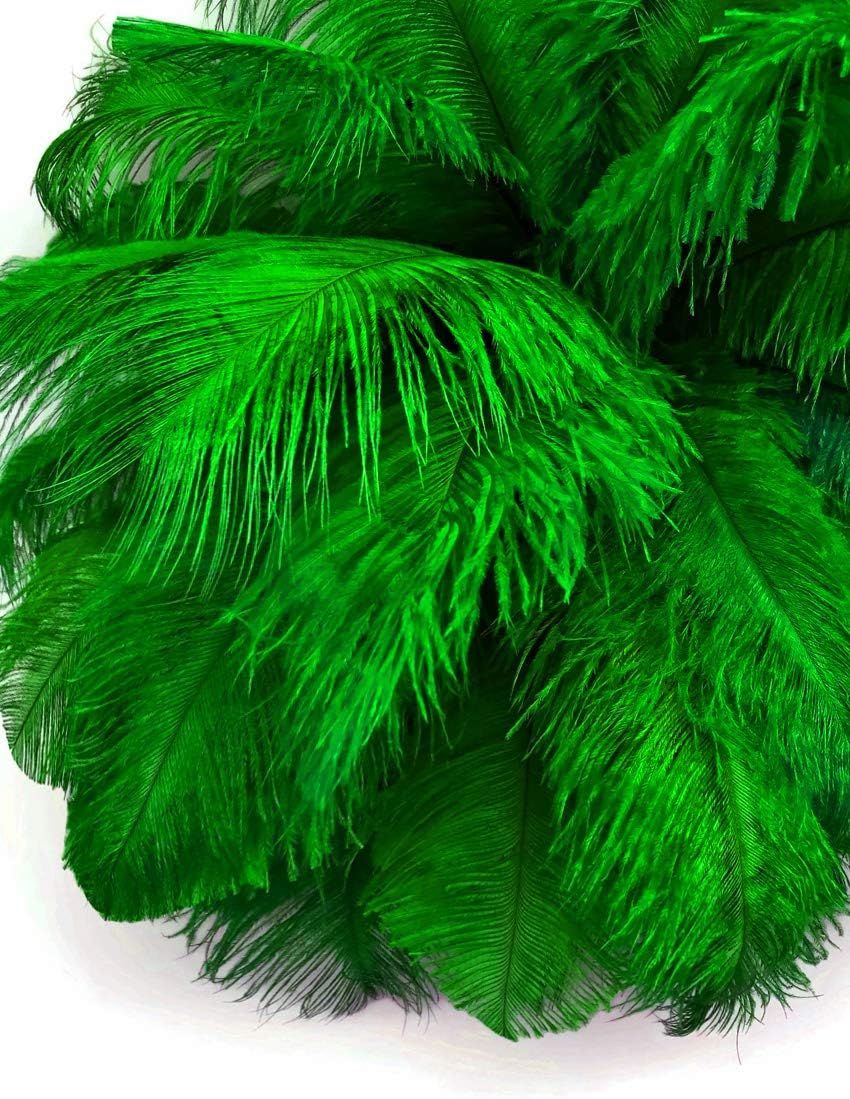 10 Pieces - 17-19" Kelly Green Large Bleached & Dyed Ostrich Drabs Body Feathers