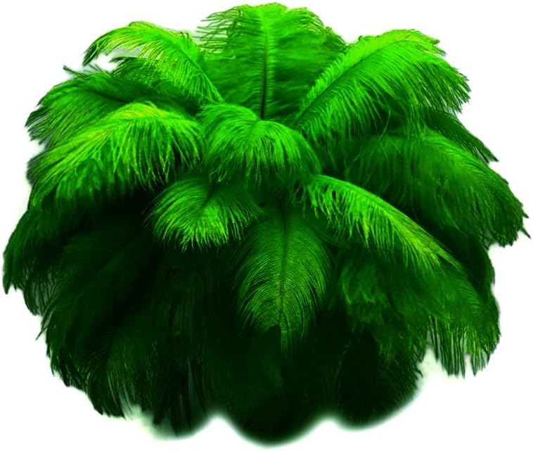 10 Pieces - 17-19" Kelly Green Large Bleached & Dyed Ostrich Drabs Body Feathers
