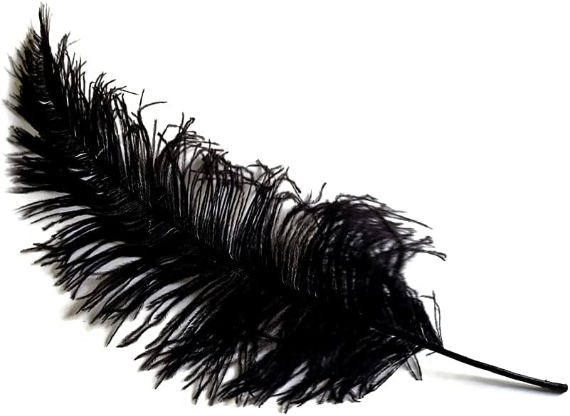 1/2 Lb - Black Large Ostrich Spads Wholesale Feathers 20-28" (Bulk)
