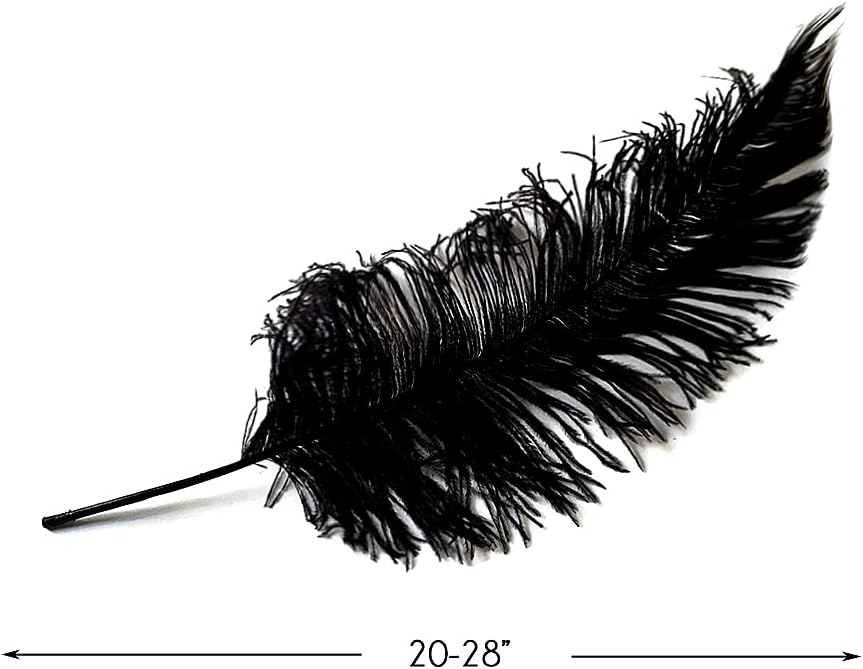 1/2 Lb - Black Large Ostrich Spads Wholesale Feathers 20-28" (Bulk)