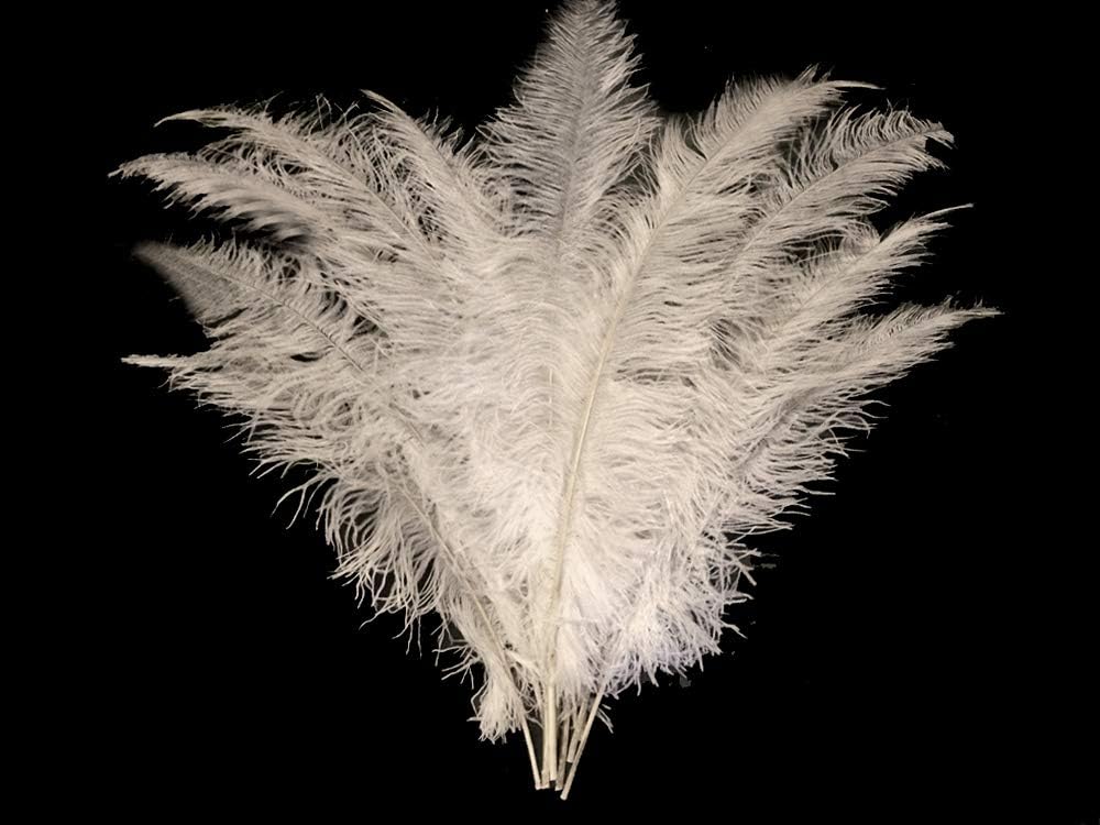 1/2 Lb - White Large Ostrich Spads Wholesale Feathers 20-28" (Bulk)
