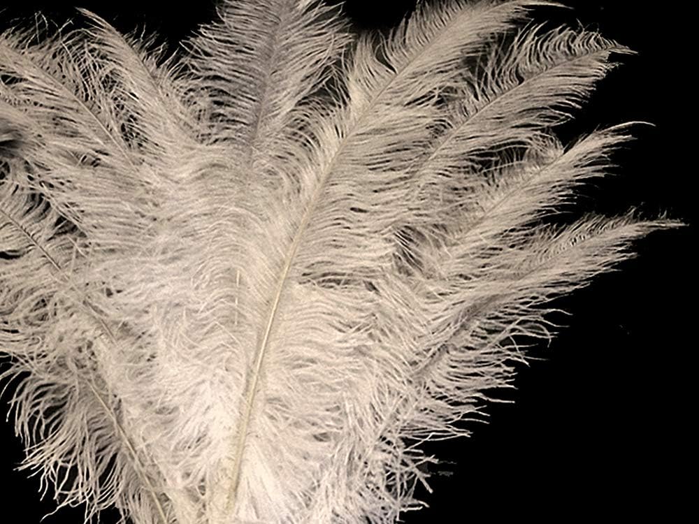 1/2 Lb - White Large Ostrich Spads Wholesale Feathers 20-28" (Bulk)
