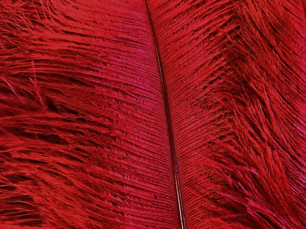 100 Pieces - 6-8" Red Wholesale Ostrich Body Drabs Feathers (Bulk)