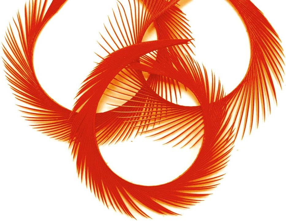 1 Yard - Orange Goose Biots Stripped Wing Wholesale Feather Trim