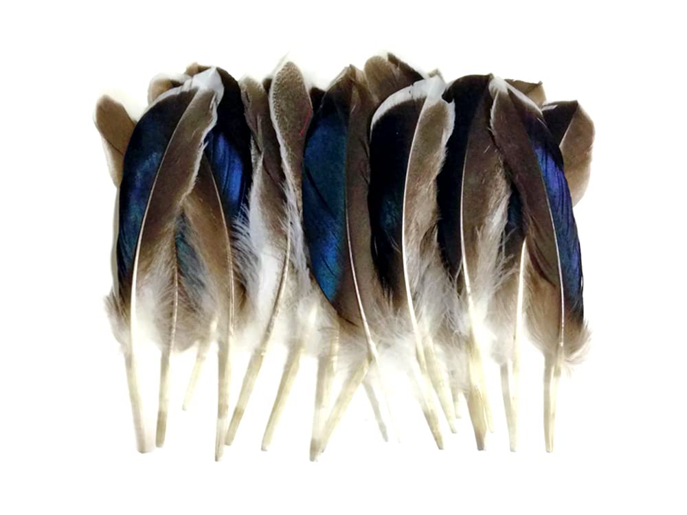 1 Pack - Iridescent Blue Mix Mallard Duck Wing Feathers 0.15 Oz.