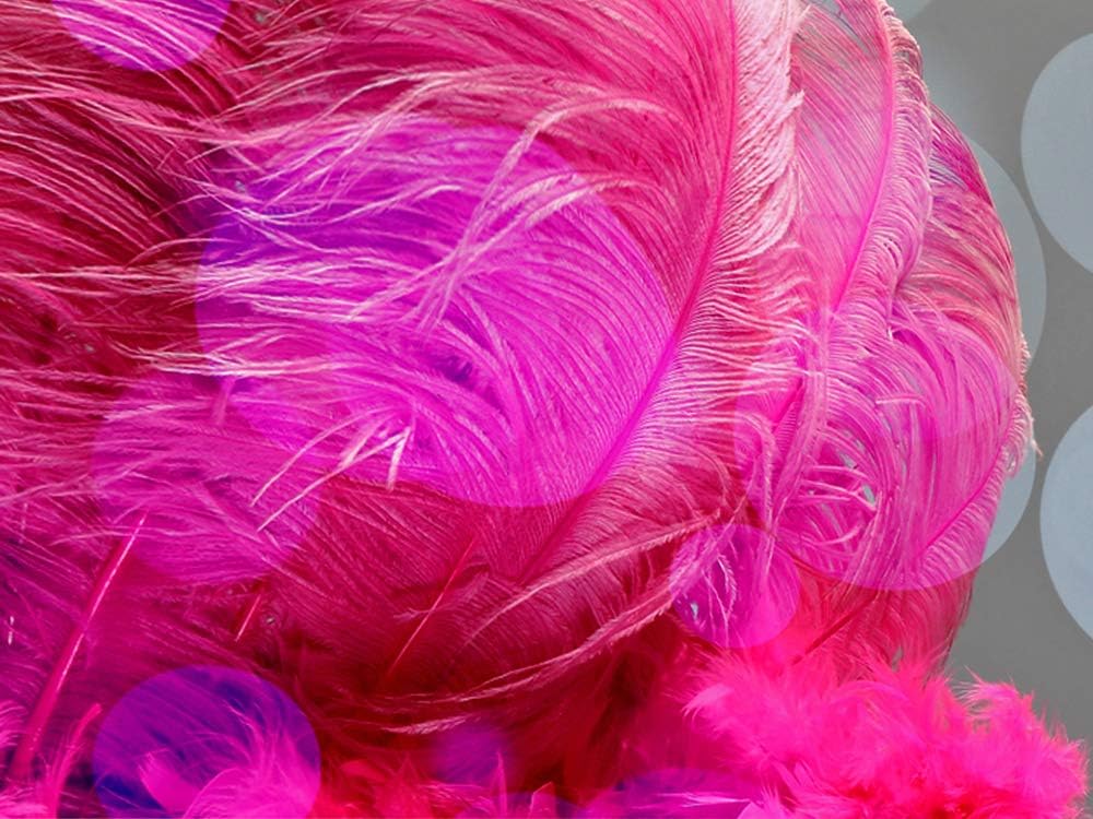 1/2 Lb. - 25-29" Hot Pink Large Ostrich Wing Plume Wholesale Feathers (Bulk)