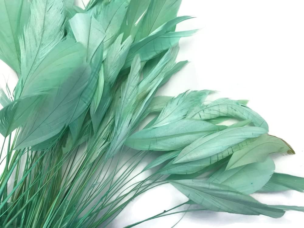 1 Dozen - Aqua Green Stripped Rooster Coque Tail Feathers