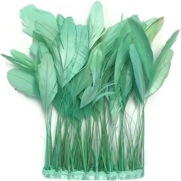 1 Dozen - Aqua Green Stripped Rooster Coque Tail Feathers