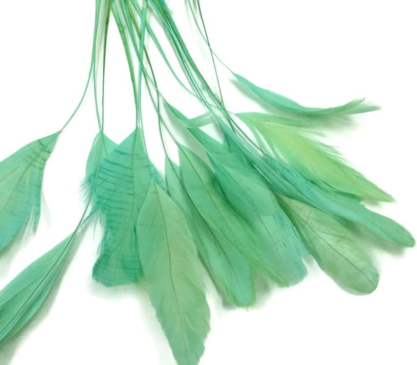 1 Dozen - Aqua Green Stripped Rooster Coque Tail Feathers