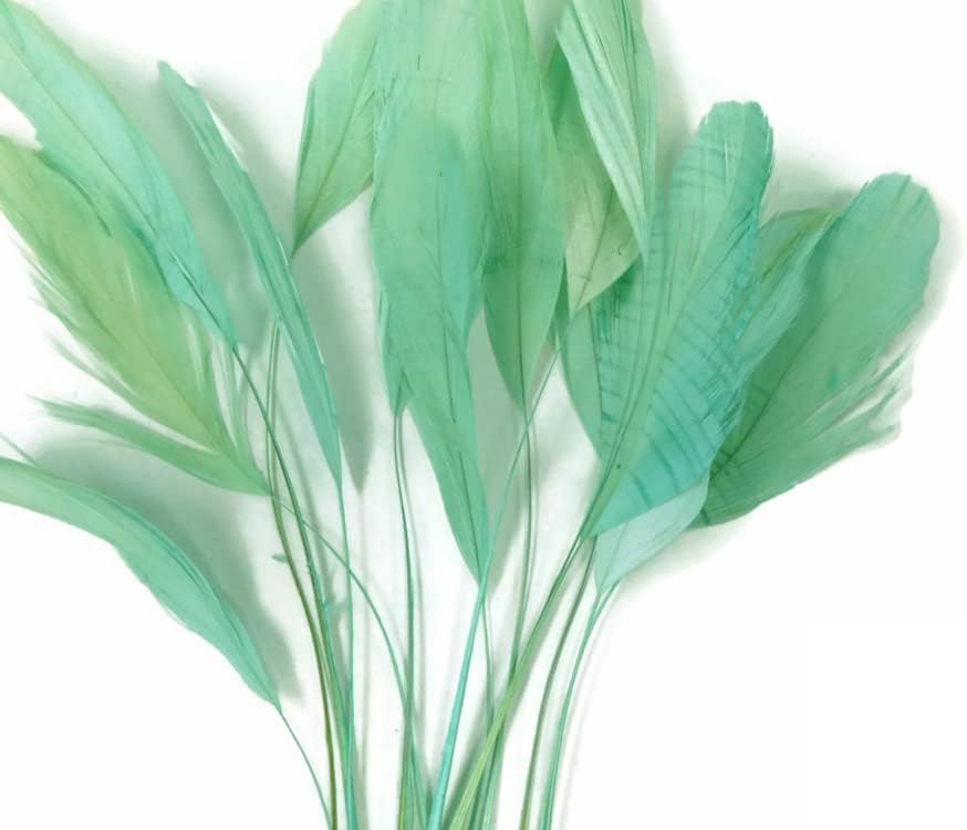 1 Dozen - Aqua Green Stripped Rooster Coque Tail Feathers