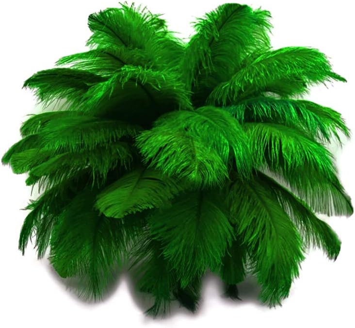 10 Pieces - 19-24" Kelly Green Ostrich Dyed Drabs Body Feathers