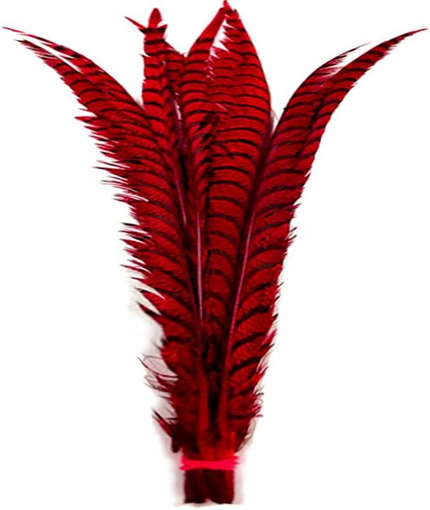 5 Pieces - 30-35" Red Zebra Lady Amherst Pheasant Tail Super Long Feathers