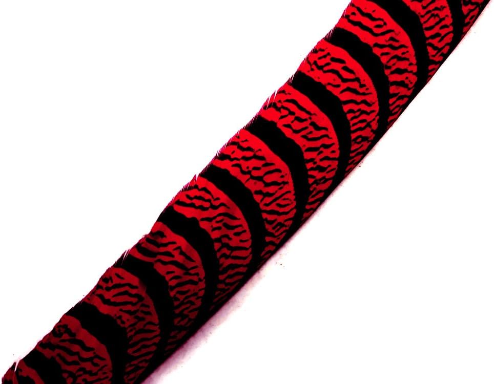 5 Pieces - 30-35" Red Zebra Lady Amherst Pheasant Tail Super Long Feathers