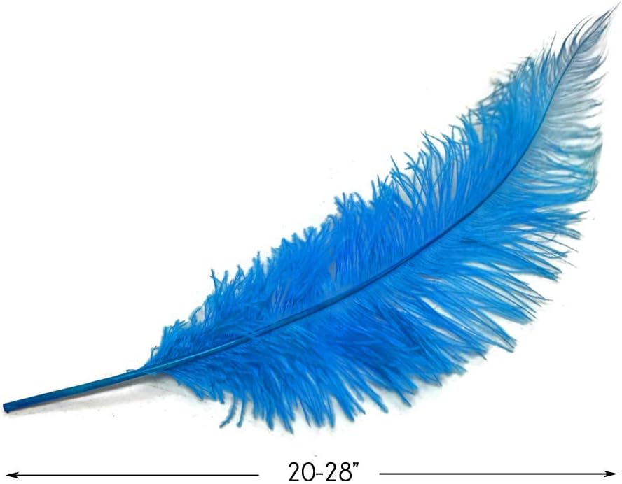 1/2 Lb - Turquoise Blue Large Ostrich Spads Wholesale Feathers 20-28" (Bulk)