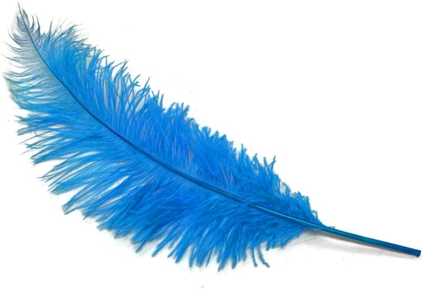 1/2 Lb - Turquoise Blue Large Ostrich Spads Wholesale Feathers 20-28" (Bulk)