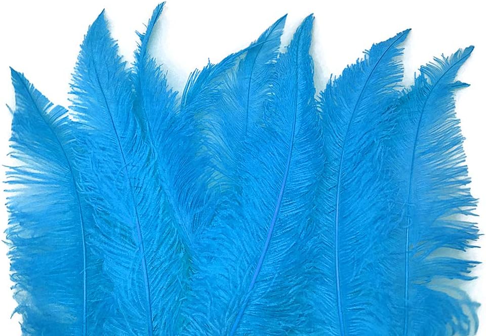 1/2 Lb - Turquoise Blue Large Ostrich Spads Wholesale Feathers 20-28" (Bulk)
