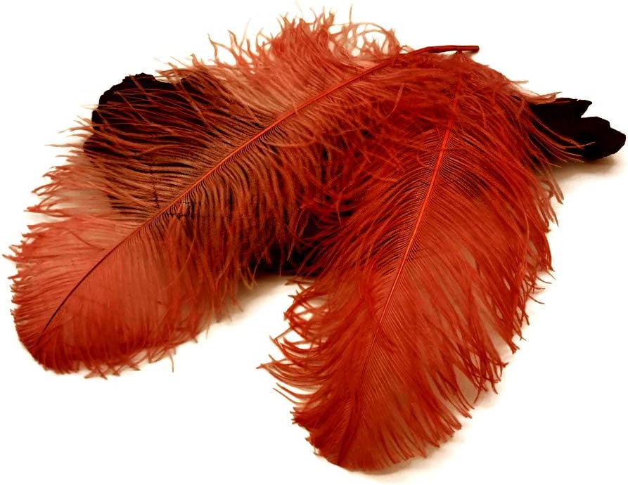 1/2 Lb. - 18-24" Orange Large Ostrich Wing Plume Wholesale Feathers (Bulk)