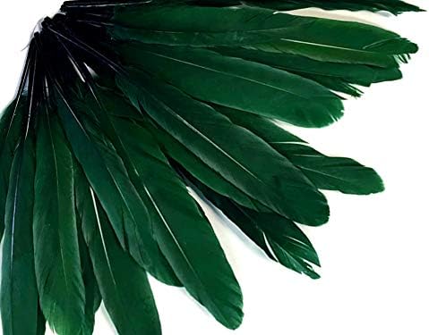 1 Pack - Hunter Green Dyed Duck Cochettes Loose Wing Quill Feather 0.30 Oz.
