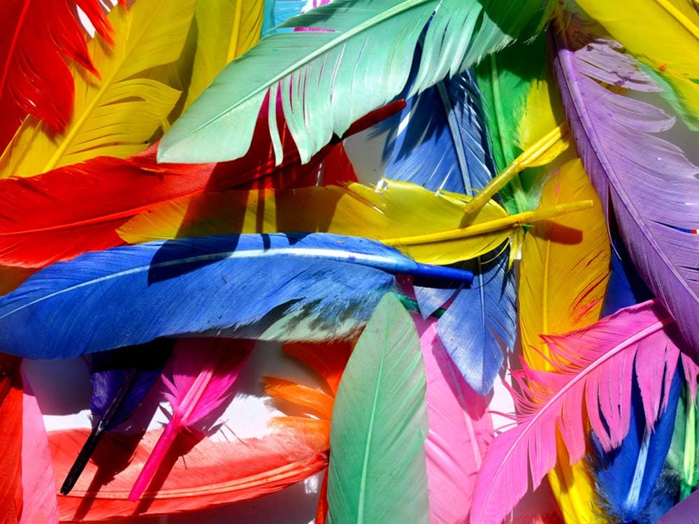 1/4 Lb. - Hunter Green Dyed Duck Cochettes Loose Wing Quill Wholesale Feather (Bulk)