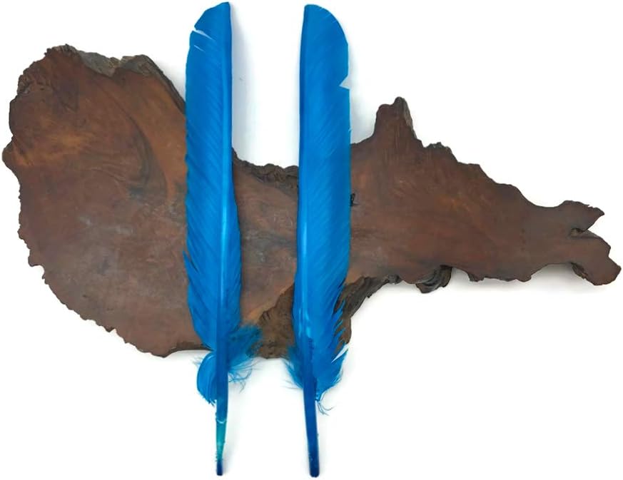6 Pieces - Turquoise Blue Turkey Pointers Primary Wing Quill Large Feathers