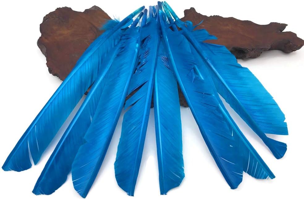 6 Pieces - Turquoise Blue Turkey Pointers Primary Wing Quill Large Feathers