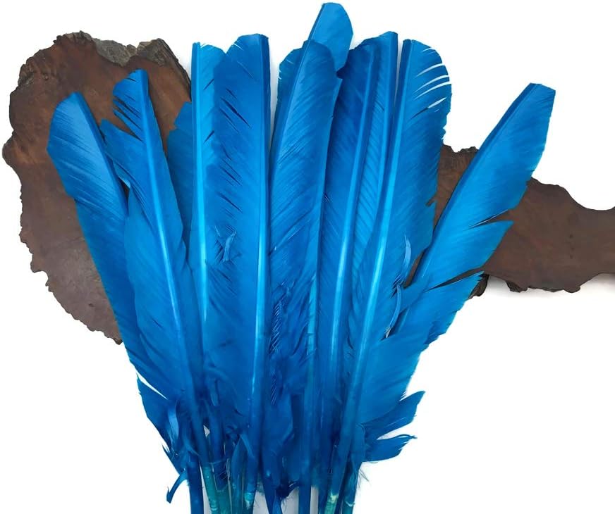 6 Pieces - Turquoise Blue Turkey Pointers Primary Wing Quill Large Feathers