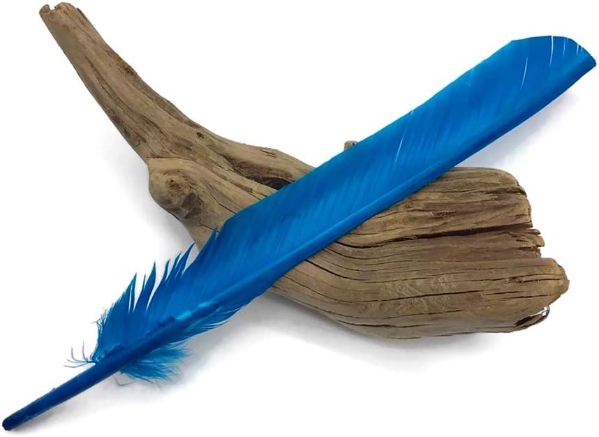 6 Pieces - Turquoise Blue Turkey Pointers Primary Wing Quill Large Feathers