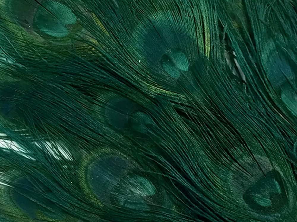 5 Pieces – Hunter Green Bleached & Dyed Peacock Tail Eye Feathers 10-12” Long