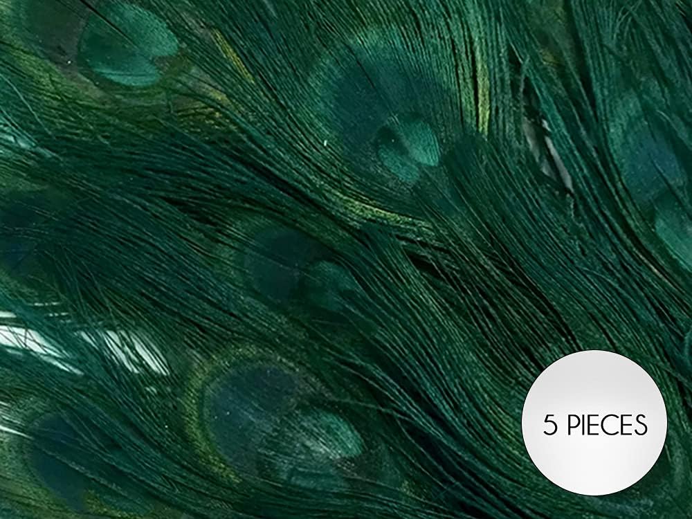 50 Pieces – Hunter Green Bleached & Dyed Peacock Tail Eye Wholesale Feathers (Bulk) 10-12” Long