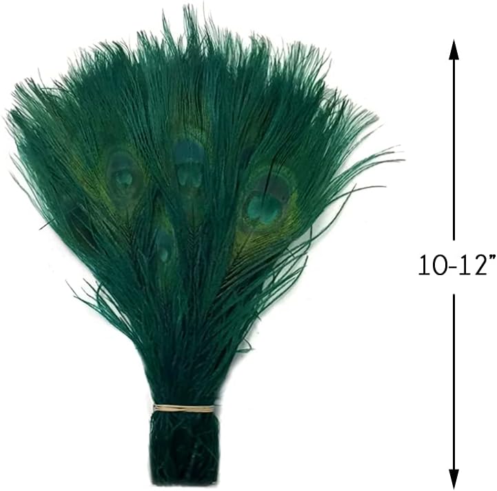 50 Pieces – Hunter Green Bleached & Dyed Peacock Tail Eye Wholesale Feathers (Bulk) 10-12” Long