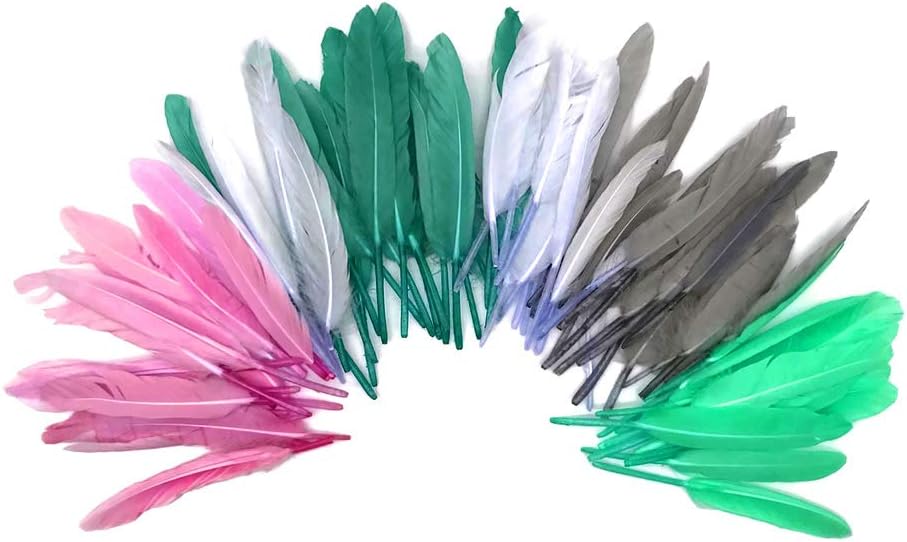 1 Pack - Candy Pink Dyed Duck Cochettes Loose Wing Quill Feather 0.30 Oz.