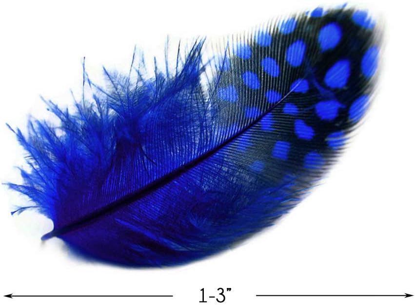 10 Pieces - Dyed Royal Blue Polka Dot Guinea Fowl Wing Quill Feathers