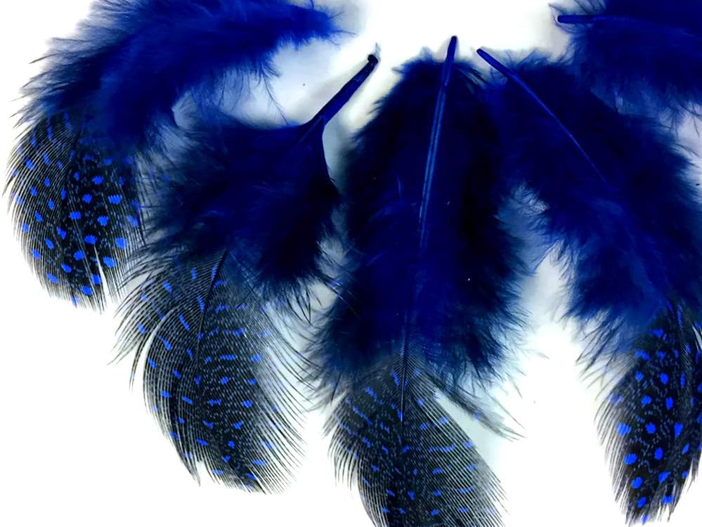 10 Pieces - Dyed Royal Blue Polka Dot Guinea Fowl Wing Quill Feathers